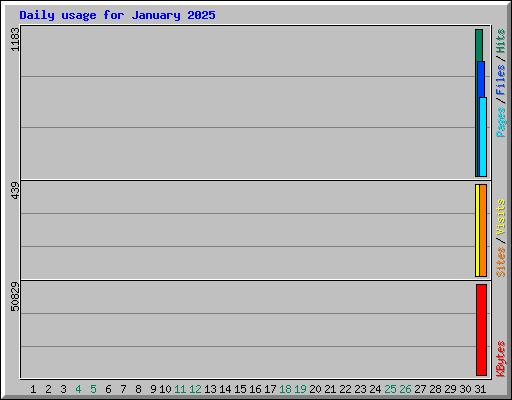 Daily usage for January 2025