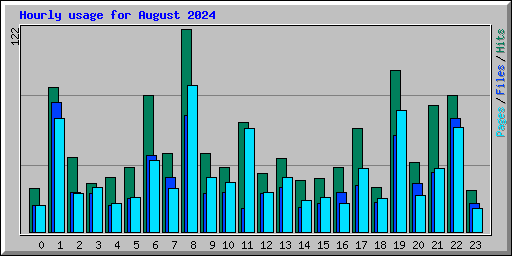 Hourly usage for August 2024