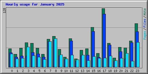 Hourly usage for January 2025