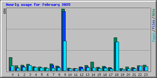 Hourly usage for February 2025